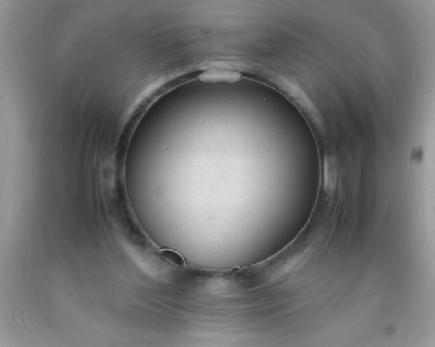 X0000090450204200707272223