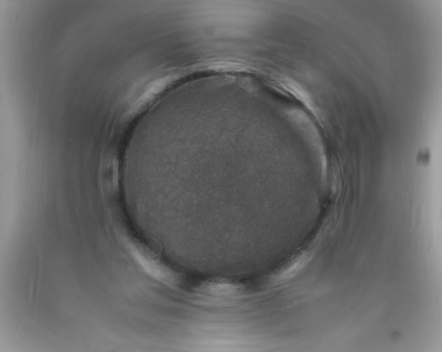 X0000090450205200707272223