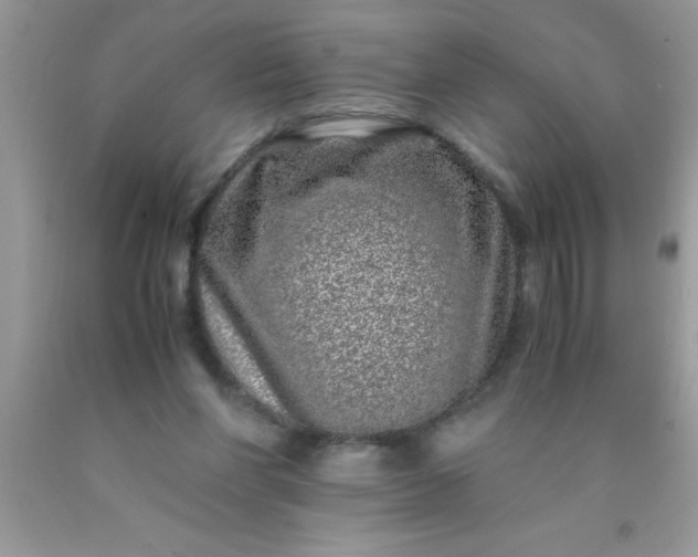 X0000090450206200707272223