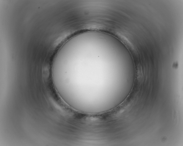 X0000090450208200707272222