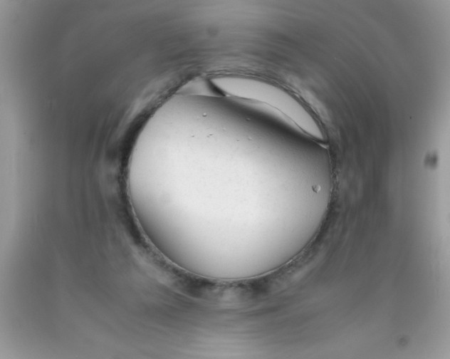 X0000090450209200707272222