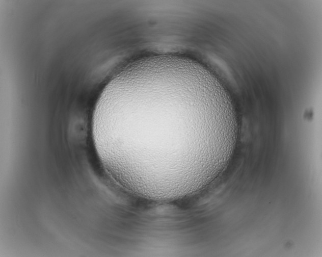 X0000090450210200707272222