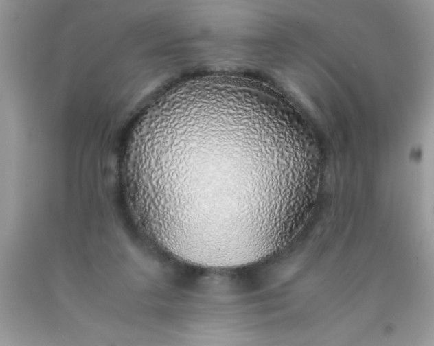 X0000090450211200707272222