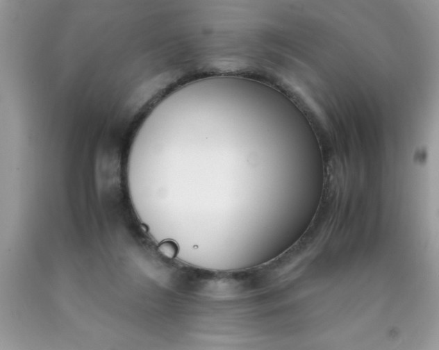 X0000090450212200707272222