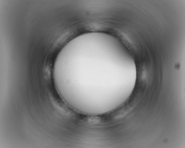 X0000090450214200707272222