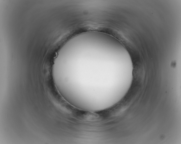 X0000090450215200707272222