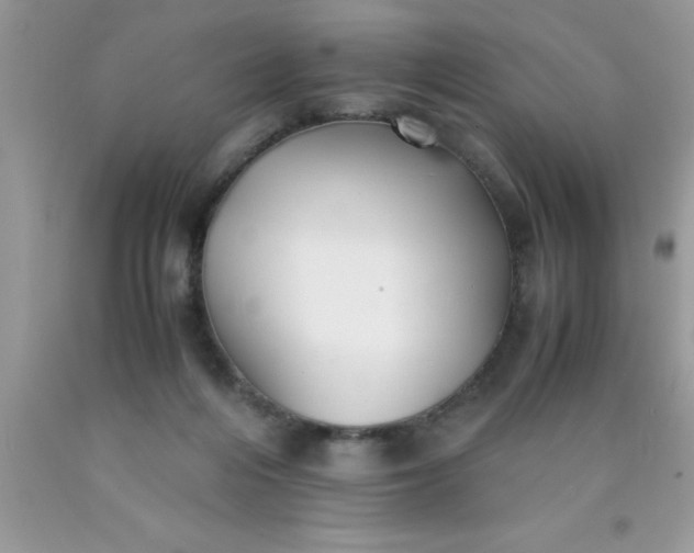 X0000090450216200707272222