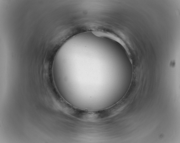 X0000090450217200707272222