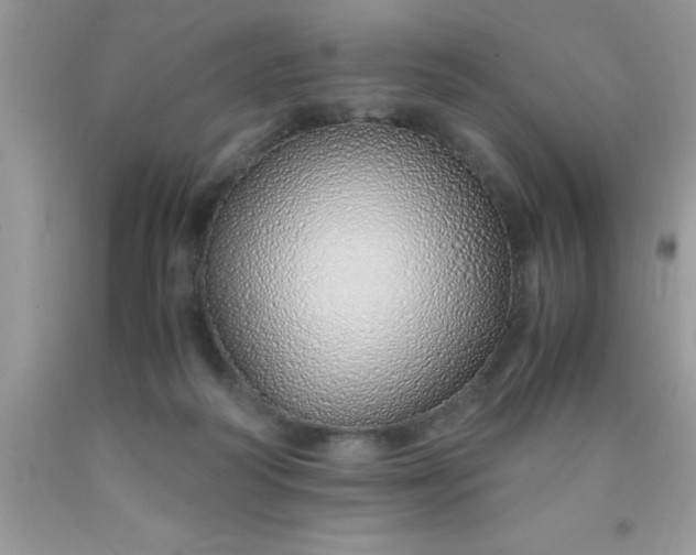 X0000090450218200707272222