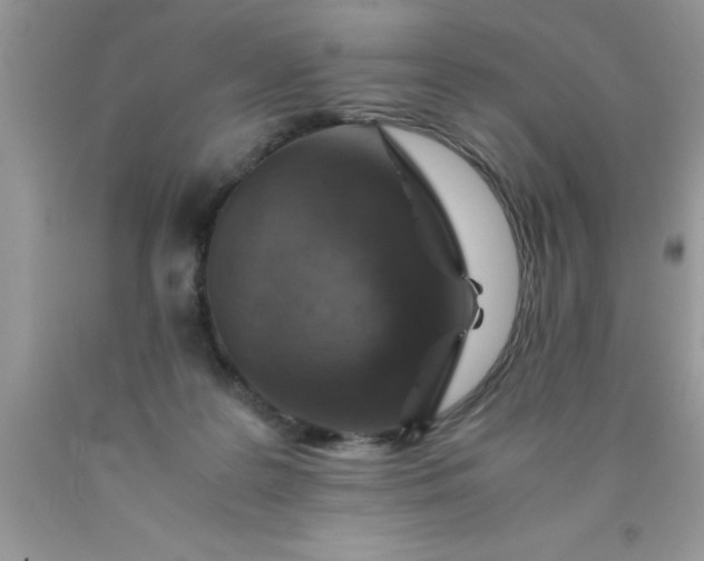 X0000090450219200707272222