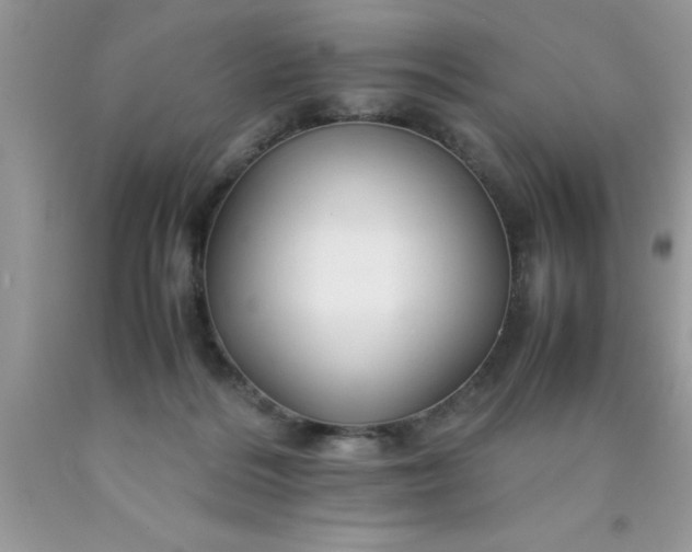 X0000090450220200707272222