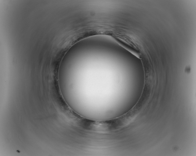 X0000090450221200707272222