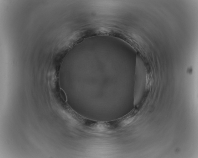 X0000090450223200707272222