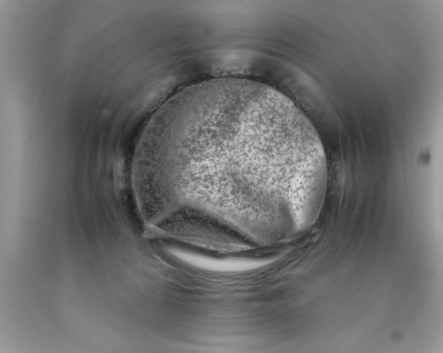 X0000090450224200707272222