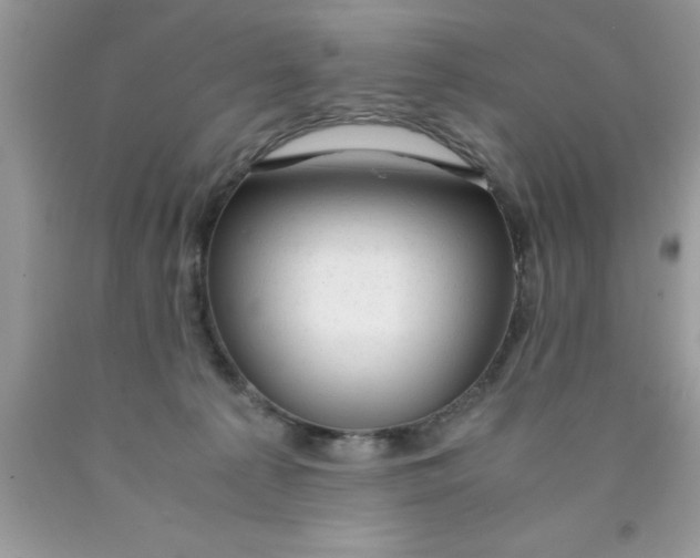 X0000090450225200707272222