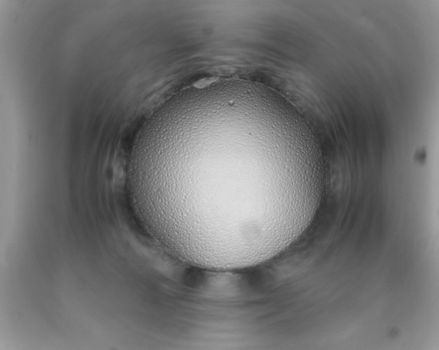 X0000090450226200707272222