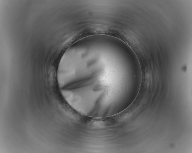 X0000090450228200707272222