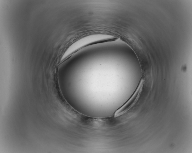 X0000090450229200707272222