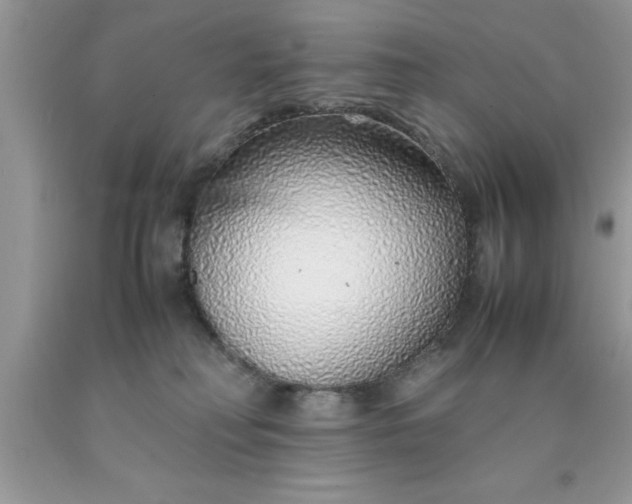 X0000090450230200707272222