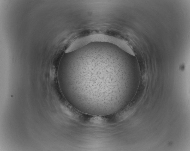 X0000090450231200707272222