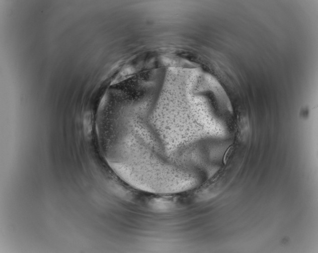 X0000090450232200707272222