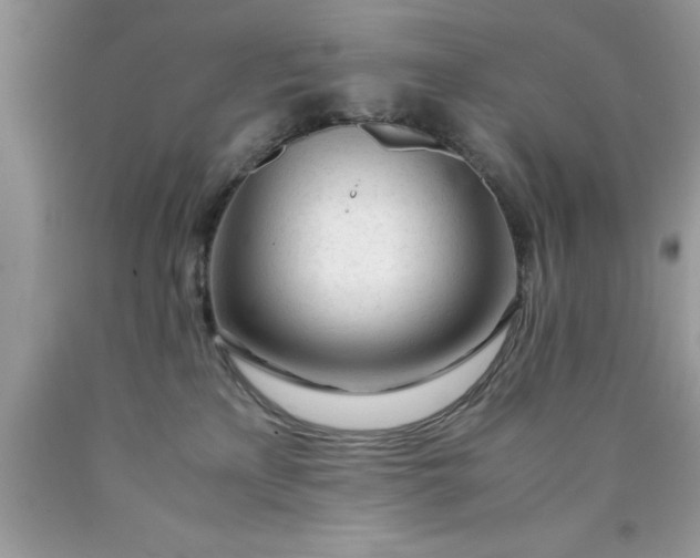 X0000090450233200707272222