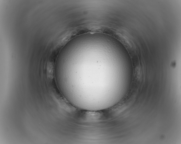 X0000090450234200707272222