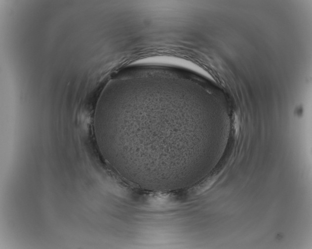 X0000090450235200707272222