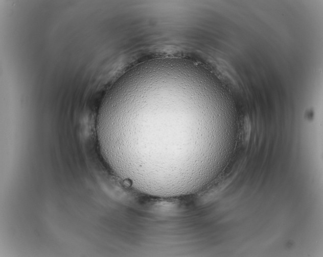 X0000090450236200707272222