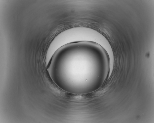 X0000090450237200707272222