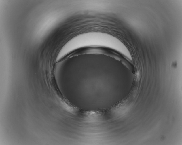 X0000090450239200707272222