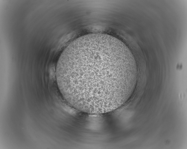 X0000090450240200707272222