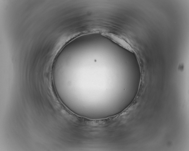 X0000090450241200707272221