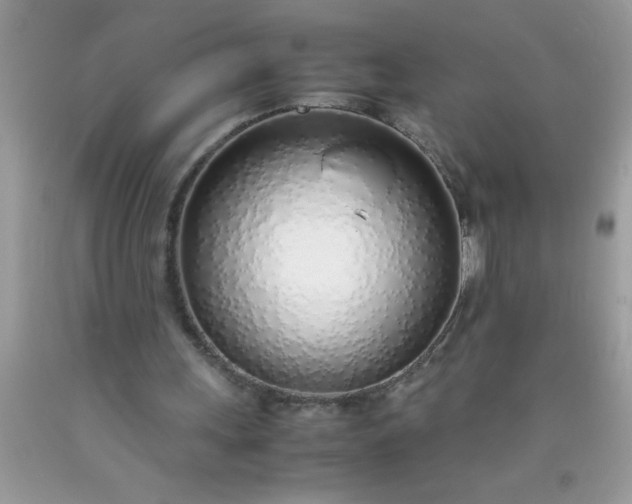 X0000090450243200707272222