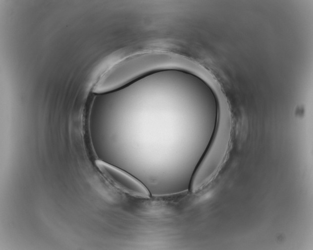 X0000090450244200707272222