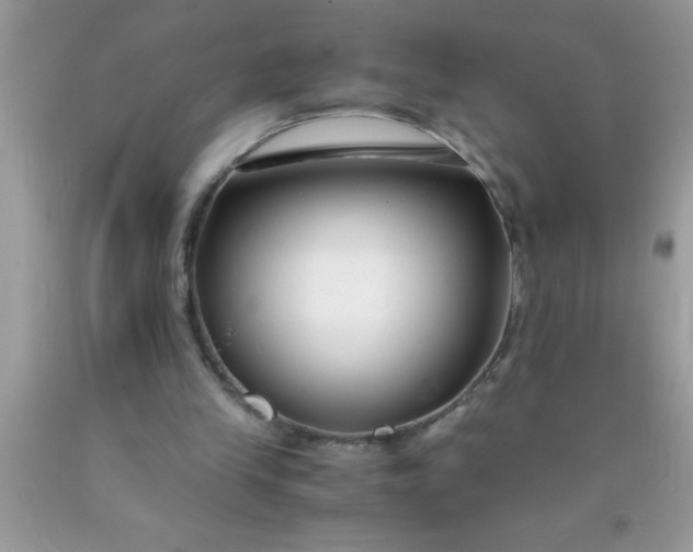 X0000090450245200707272222