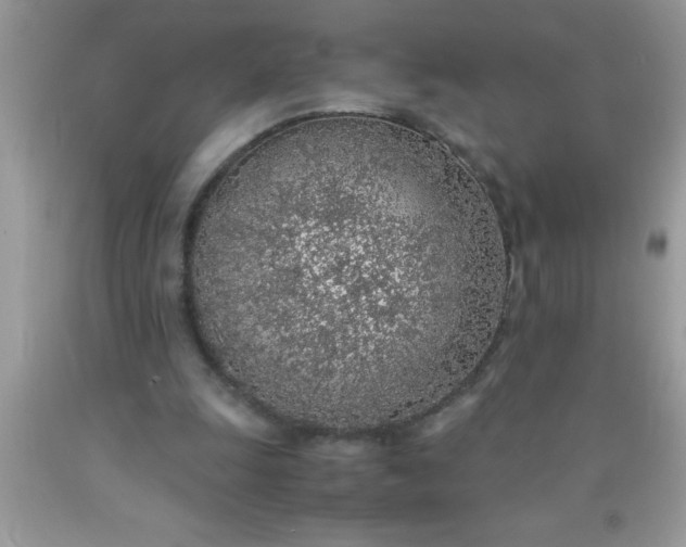 X0000090450247200707272222