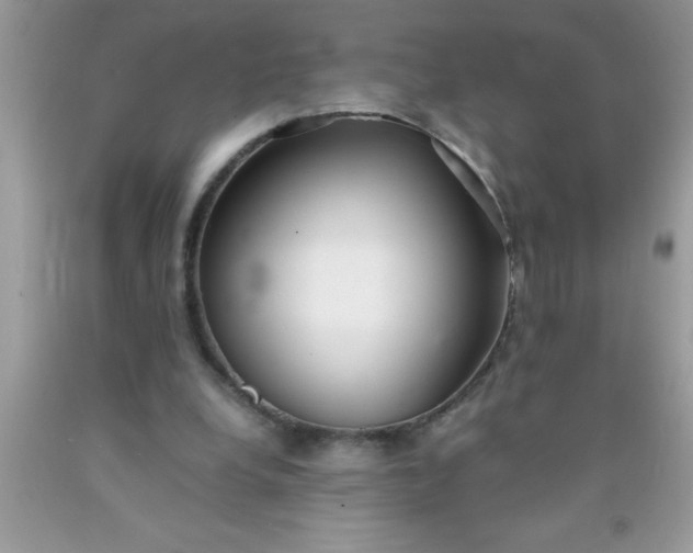 X0000090450248200707272222