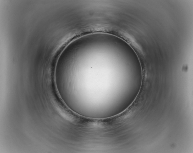 X0000090450250200707272222