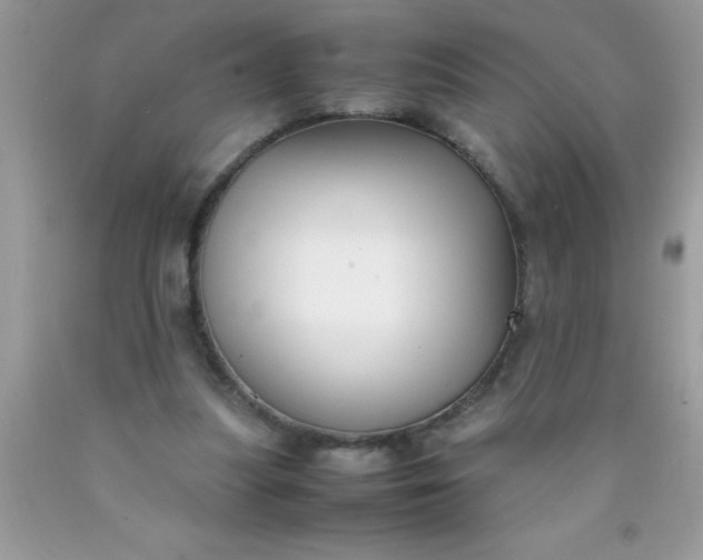 X0000090450251200707272222