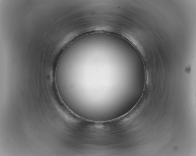 X0000090450253200707272222