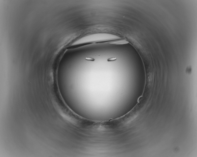 X0000090450254200707272222