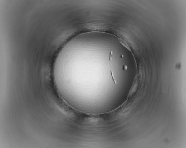 X0000090450255200707272222