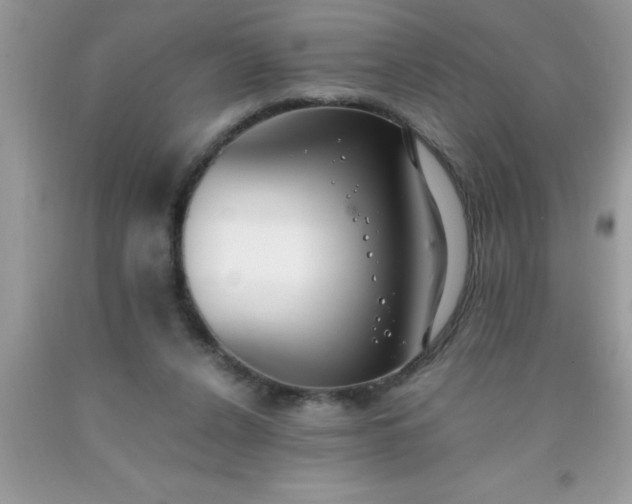 X0000090450256200707272222