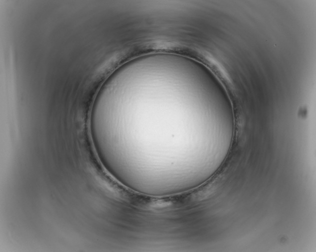 X0000090450257200707272222