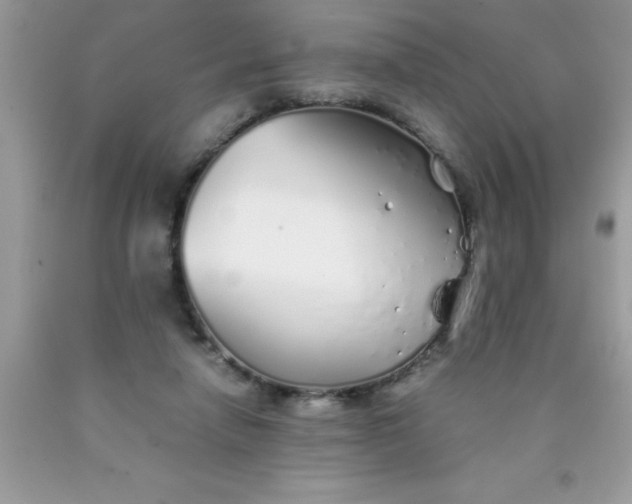 X0000090450258200707272222