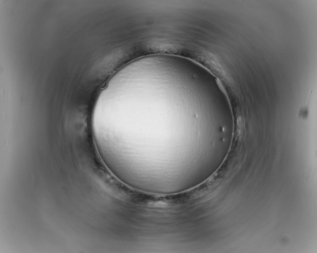 X0000090450259200707272222