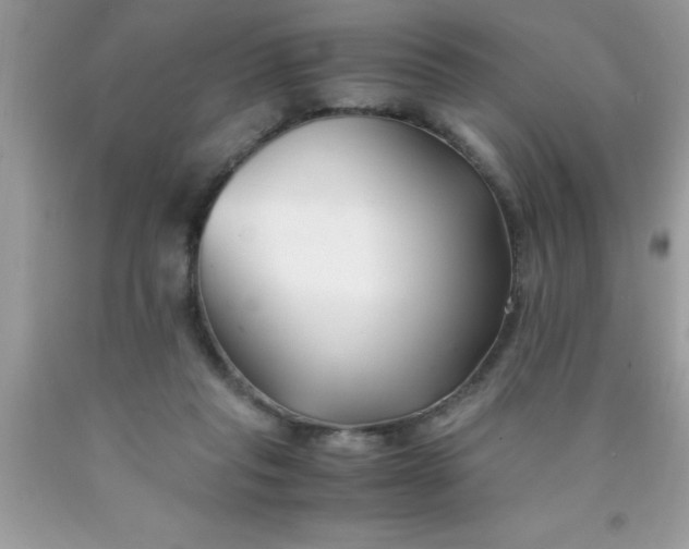 X0000090450261200707272222