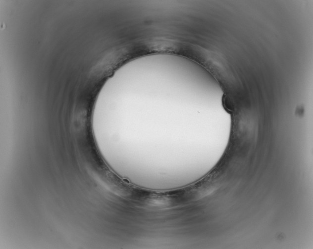 X0000090450263200707272222