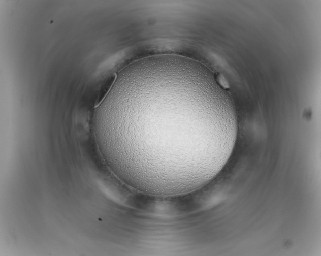 X0000090450264200707272222